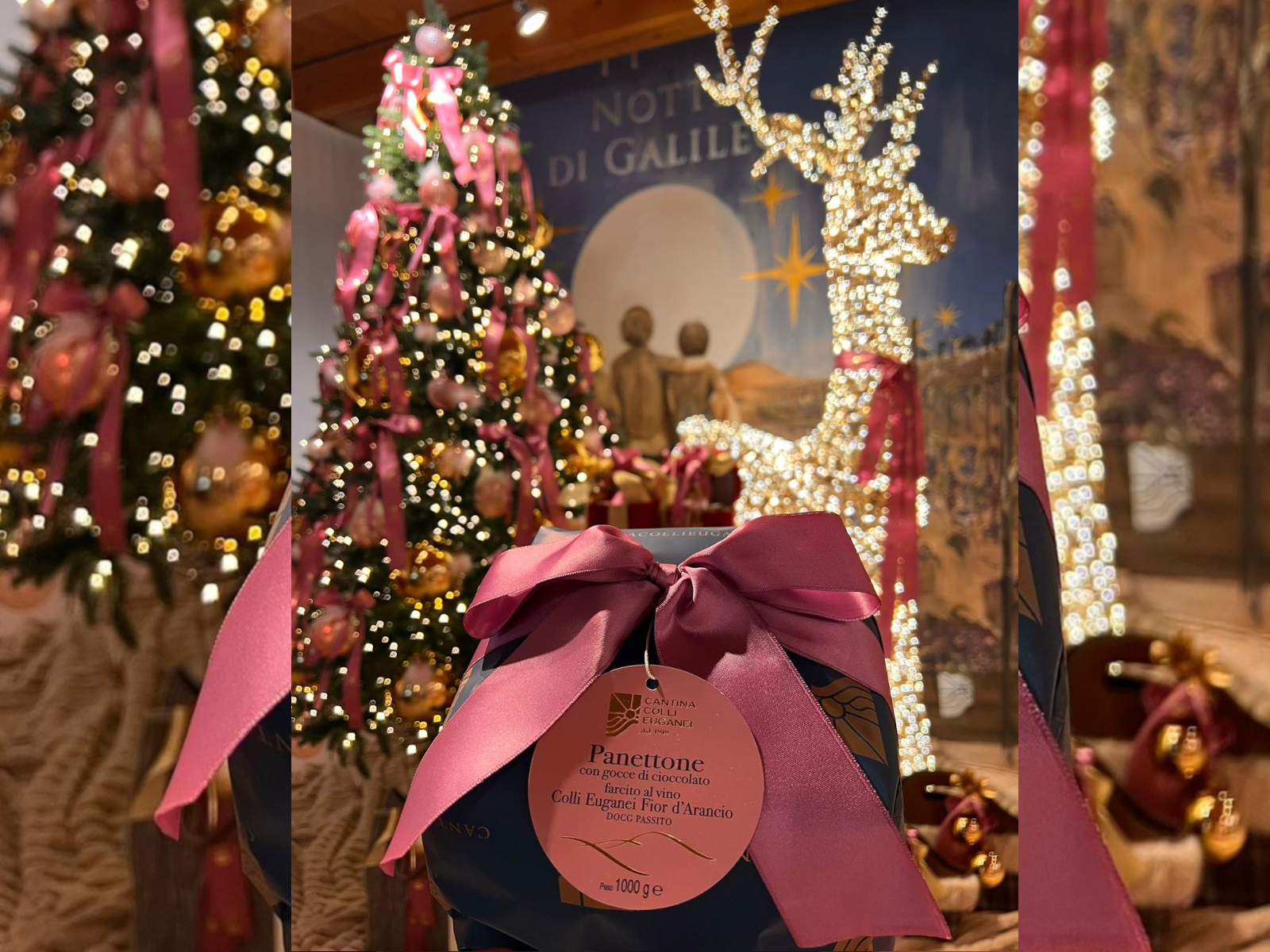 Panettone farcito al vino Colli Euganei Fior d’Arancio e gocce di cioccolato